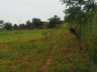 30m by 40m Plots For Sale In Choma