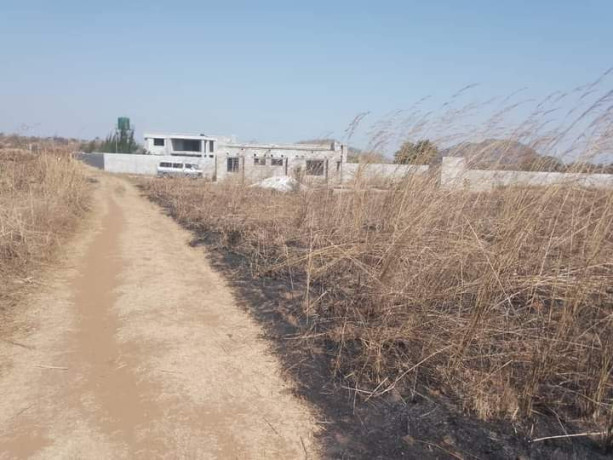 2-acres-farm-land-for-sale-in-shimabala-big-1