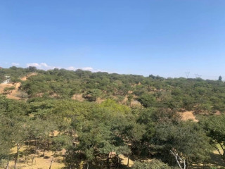 1-acre-plots-for-sale-in-new-kasama