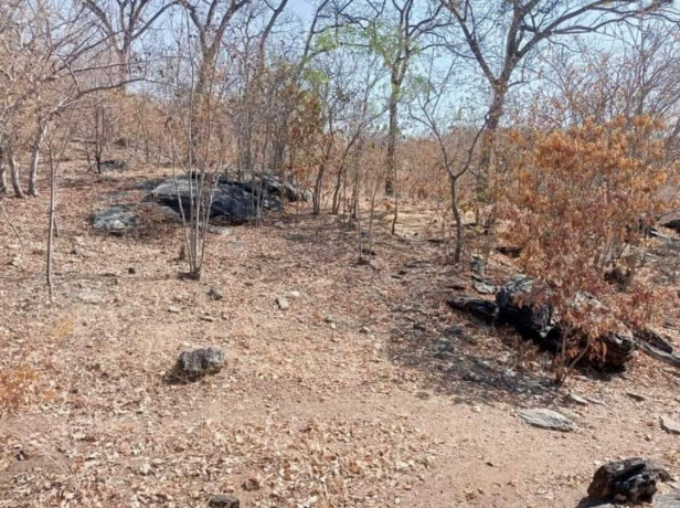 13-acre-plot-for-sale-in-siavonga-big-3