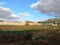 plot-for-sale-in-foxdale-small-0