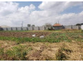 plot-for-sale-in-foxdale-small-2