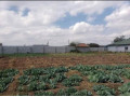 plot-for-sale-in-foxdale-small-3