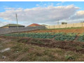 plot-for-sale-in-foxdale-small-4
