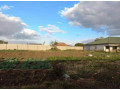 plot-for-sale-in-foxdale-small-0