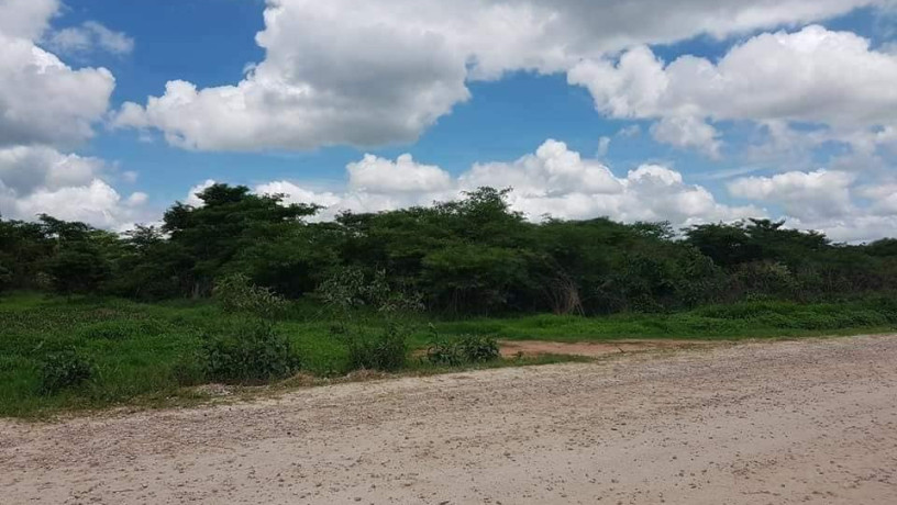 5-acres-of-land-for-sale-along-palabana-road-big-1