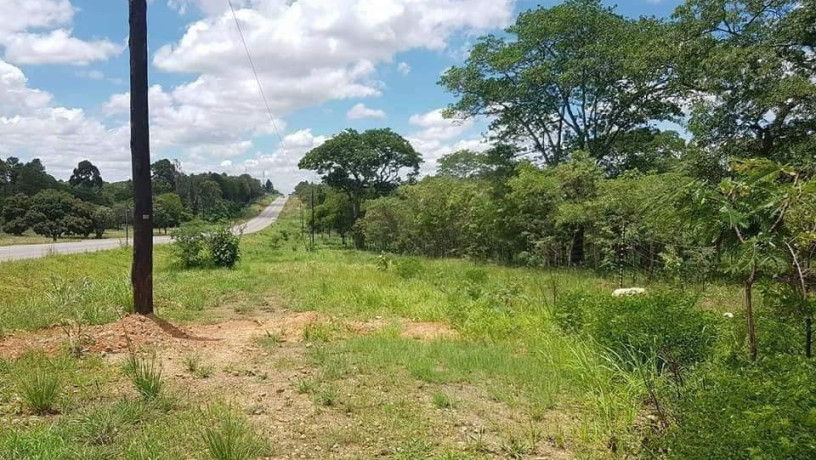 5-acres-of-land-for-sale-along-palabana-road-big-0