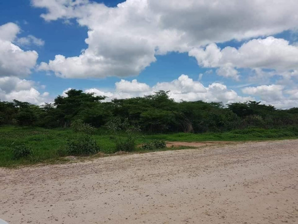 5-acres-of-land-for-sale-along-palabana-road-big-1