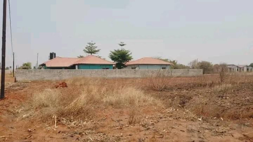 prime-plot-for-sale-in-libala-south-big-0