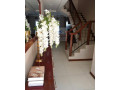 2-bedroom-apartment-for-rent-in-ibex-hill-small-3