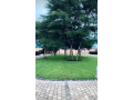 2-bedroom-apartment-for-rent-in-ibex-hill-small-2