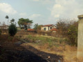 38m-by-25m-plot-for-sale-in-mass-media-small-4