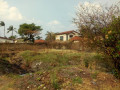 38m-by-25m-plot-for-sale-in-mass-media-small-2