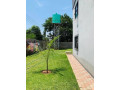 3-bedroom-flat-for-rent-in-ibex-hill-small-6