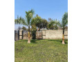 4-bedroom-house-for-rent-in-silverest-small-3