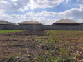 30-by-20-plot-for-sale-in-makeni-villa-small-0