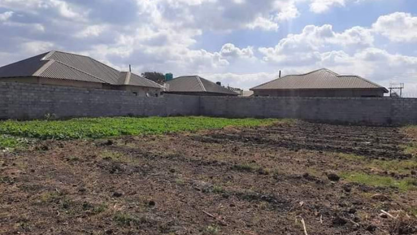 30-by-20-plot-for-sale-in-makeni-villa-big-5