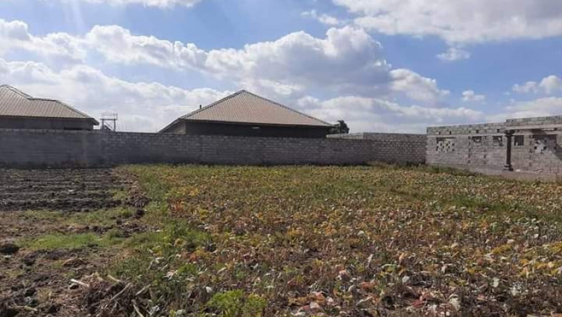 30-by-20-plot-for-sale-in-makeni-villa-big-8