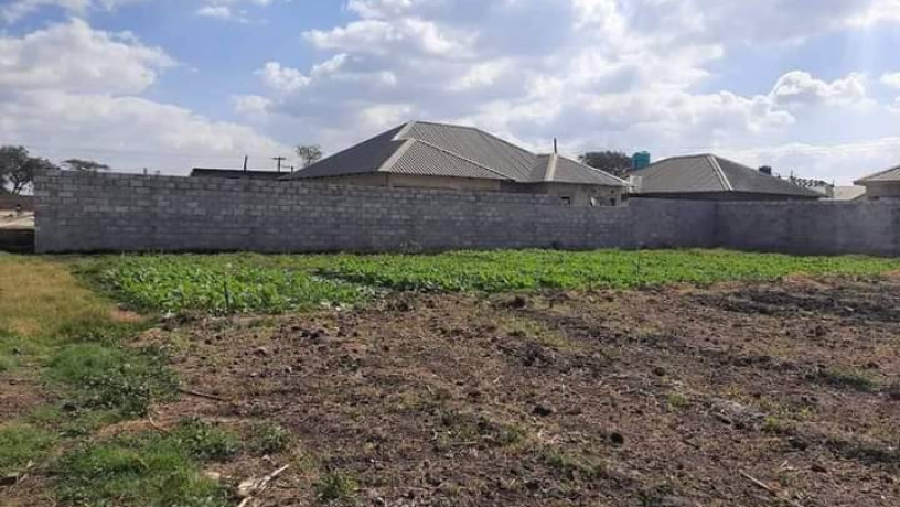 30-by-20-plot-for-sale-in-makeni-villa-big-7