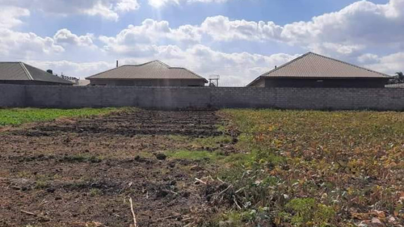 30-by-20-plot-for-sale-in-makeni-villa-big-0