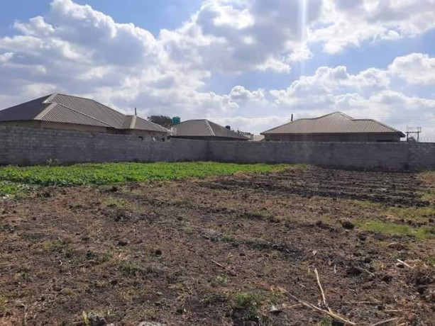 30-by-20-plot-for-sale-in-makeni-villa-big-5