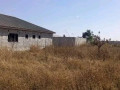 30m-by-20m-plot-for-sale-in-makeni-villa-small-1