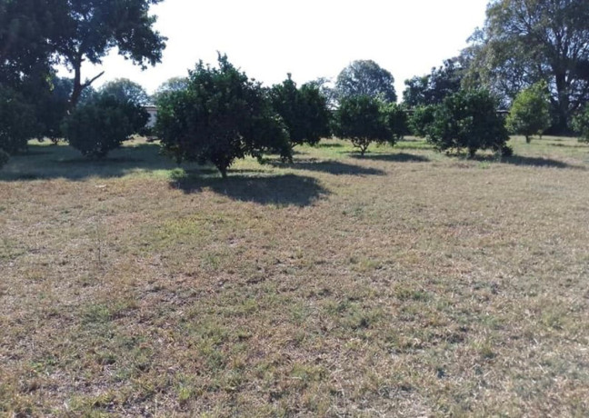 neat-and-modern-4-bedroom-house-in-makeni-big-4