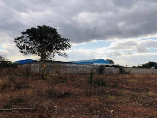 Plot For Sale In Chalala