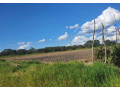 800-acre-plot-for-sale-in-palabana-small-5