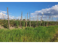 800-acre-plot-for-sale-in-palabana-small-2