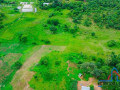 10-acres-land-for-sale-in-new-kasama-small-4