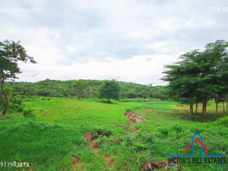 10 Acres Land For Sale in New Kasama