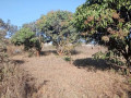 plot-for-sale-in-chalala-small-1