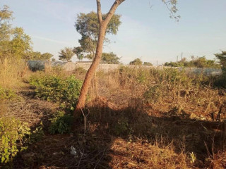 Plot For Sale In Chalala