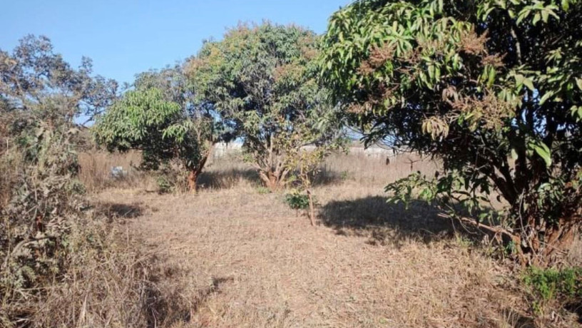 plot-for-sale-in-chalala-big-1