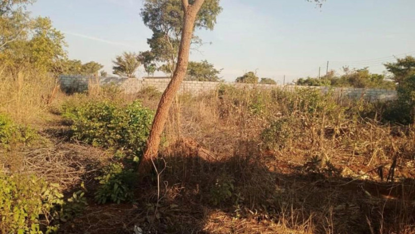 plot-for-sale-in-chalala-big-0