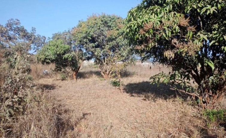 plot-for-sale-in-chalala-big-1