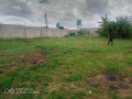 60-x-50-plot-for-sale-in-ibex-hill-small-2