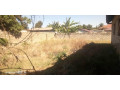4-bedroom-house-for-sale-in-ibex-hill-small-5