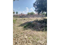 land-for-sale-in-ibex-hill-small-1