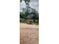 2-bedroom-flat-for-rent-in-woodlands-small-1