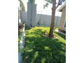 3-bedroom-house-for-sale-in-meanwood-chamba-valley-small-6