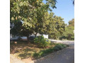3-bedroom-flats-for-sale-in-roma-small-2
