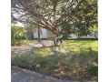 3-bedroom-flats-for-sale-in-roma-small-1