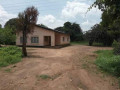 3-bedroom-house-for-rent-in-makeni-small-0