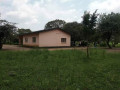 3-bedroom-house-for-rent-in-makeni-small-3