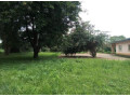 3-bedroom-house-for-rent-in-makeni-small-1