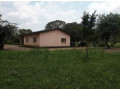 3-bedroom-house-for-rent-in-makeni-small-3