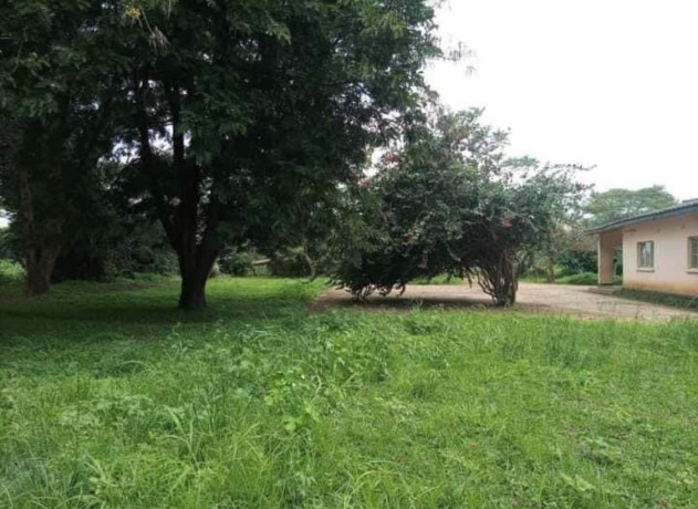 3-bedroom-house-for-rent-in-makeni-big-1