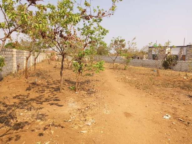 prime-land-for-sale-in-ibex-meanwood-big-1